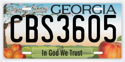 GA license plate CBS3605