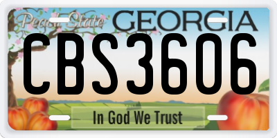 GA license plate CBS3606