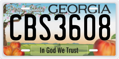 GA license plate CBS3608