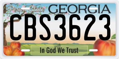 GA license plate CBS3623