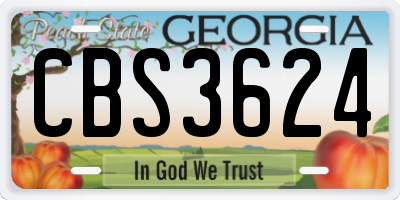 GA license plate CBS3624