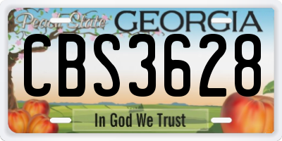GA license plate CBS3628