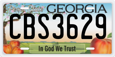 GA license plate CBS3629