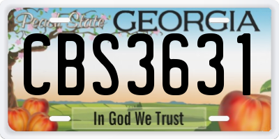GA license plate CBS3631
