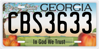 GA license plate CBS3633