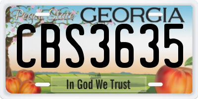 GA license plate CBS3635