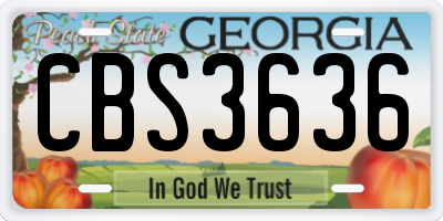 GA license plate CBS3636