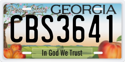 GA license plate CBS3641