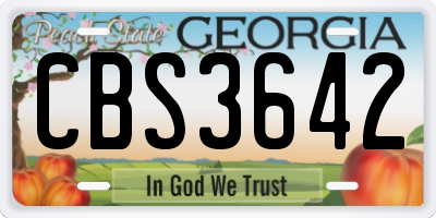 GA license plate CBS3642