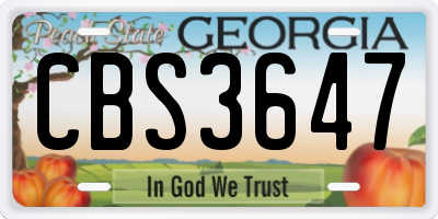 GA license plate CBS3647
