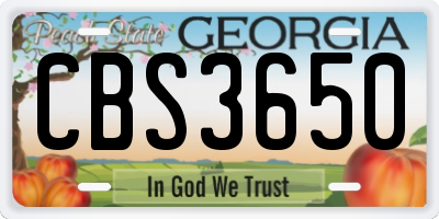 GA license plate CBS3650