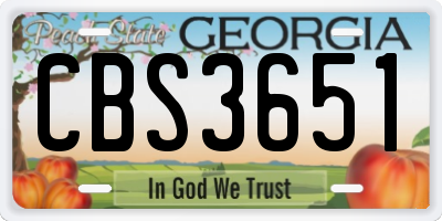 GA license plate CBS3651