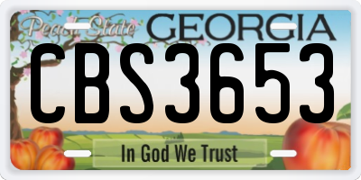 GA license plate CBS3653
