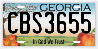 GA license plate CBS3655