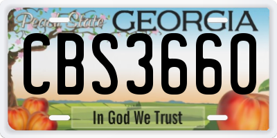 GA license plate CBS3660