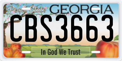 GA license plate CBS3663