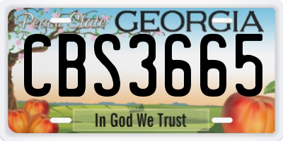 GA license plate CBS3665