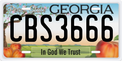 GA license plate CBS3666