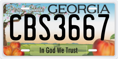 GA license plate CBS3667