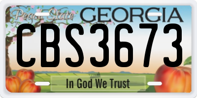 GA license plate CBS3673