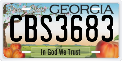 GA license plate CBS3683