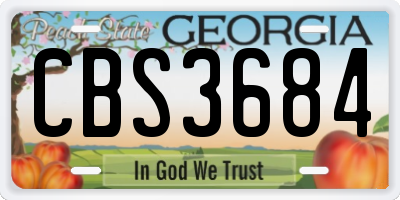 GA license plate CBS3684