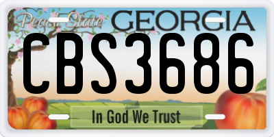 GA license plate CBS3686