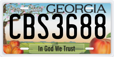 GA license plate CBS3688
