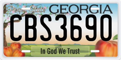GA license plate CBS3690