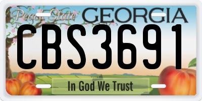 GA license plate CBS3691