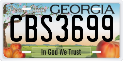 GA license plate CBS3699