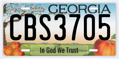 GA license plate CBS3705