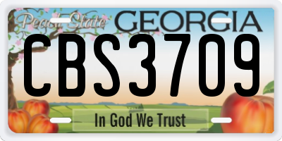GA license plate CBS3709