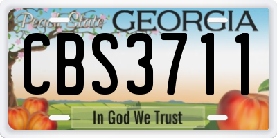 GA license plate CBS3711