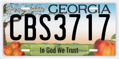 GA license plate CBS3717