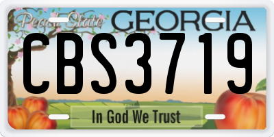 GA license plate CBS3719