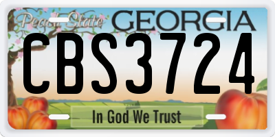GA license plate CBS3724