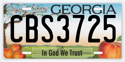 GA license plate CBS3725