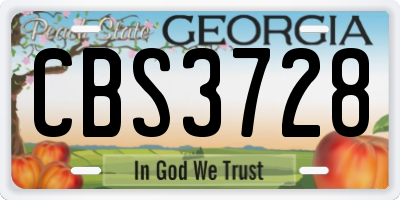 GA license plate CBS3728