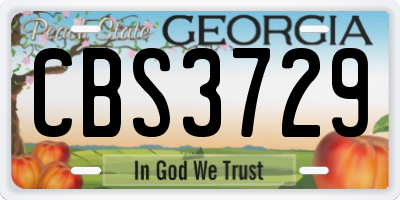 GA license plate CBS3729