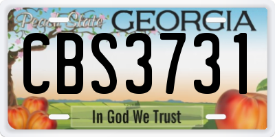 GA license plate CBS3731