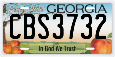 GA license plate CBS3732