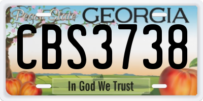 GA license plate CBS3738