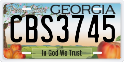 GA license plate CBS3745