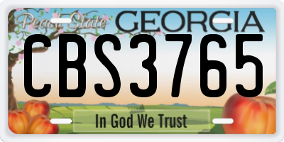 GA license plate CBS3765