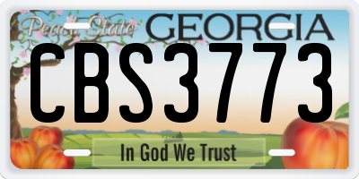 GA license plate CBS3773
