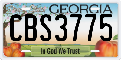 GA license plate CBS3775