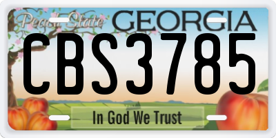 GA license plate CBS3785