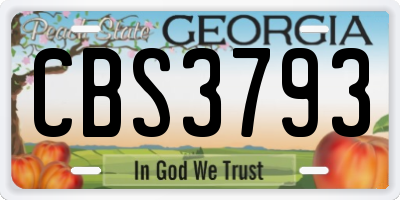 GA license plate CBS3793