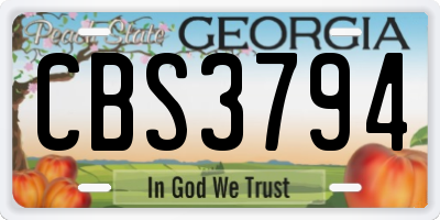 GA license plate CBS3794